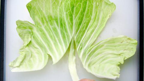 Removing the center stem from cabbage for Gyoza Salad