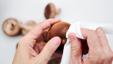 Cleaning shiitake mushrooms with a paper towel.