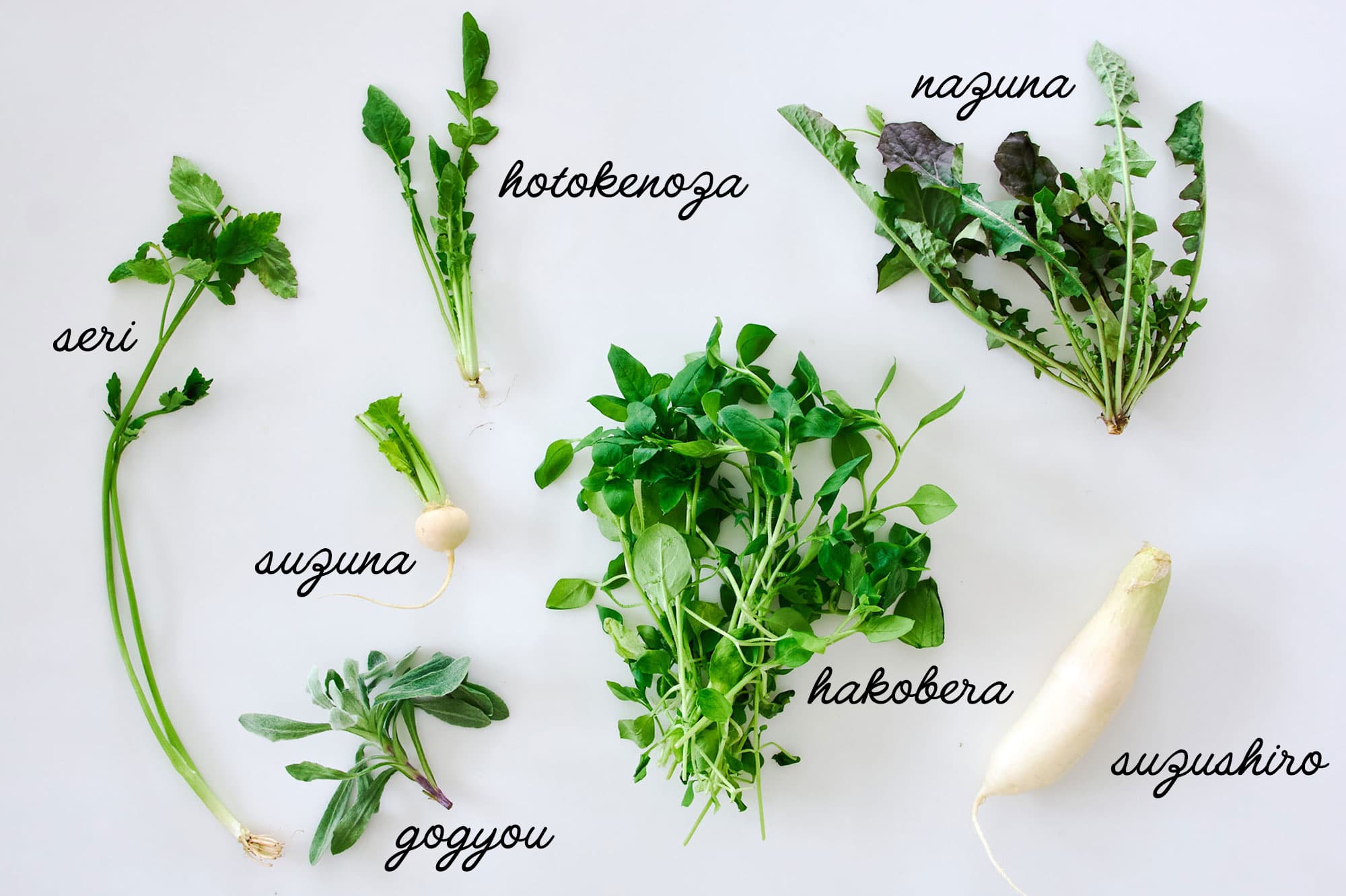 Traditional Japanese herbs with labels.