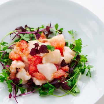 Beautifully plated scallops with grapefruit and greens