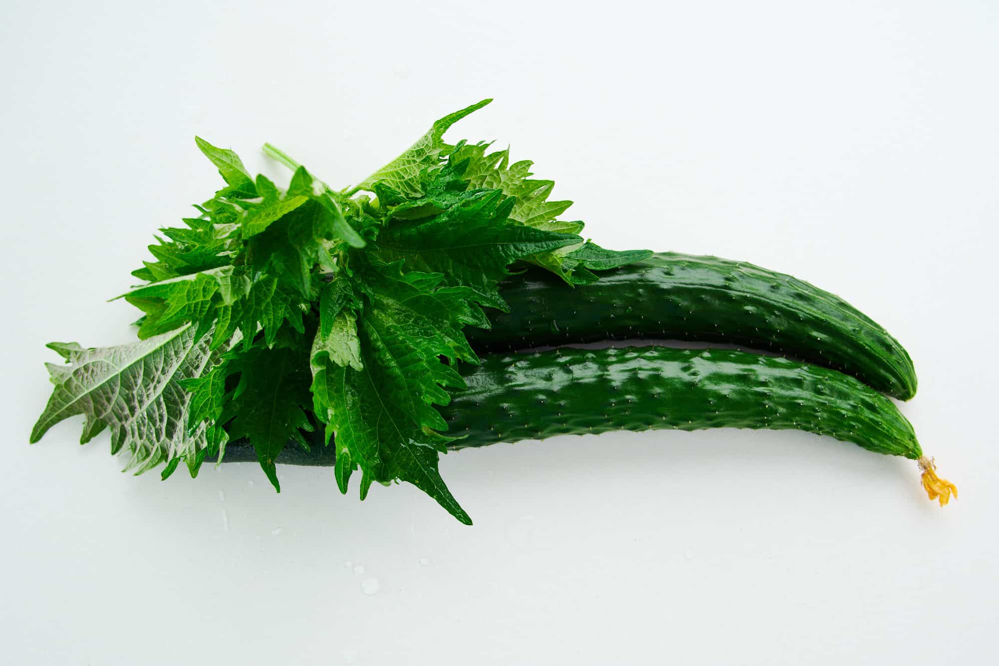 Fresh cucumbers and shiso leaves.