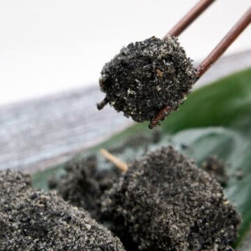 Close up view of sesame dumpling.