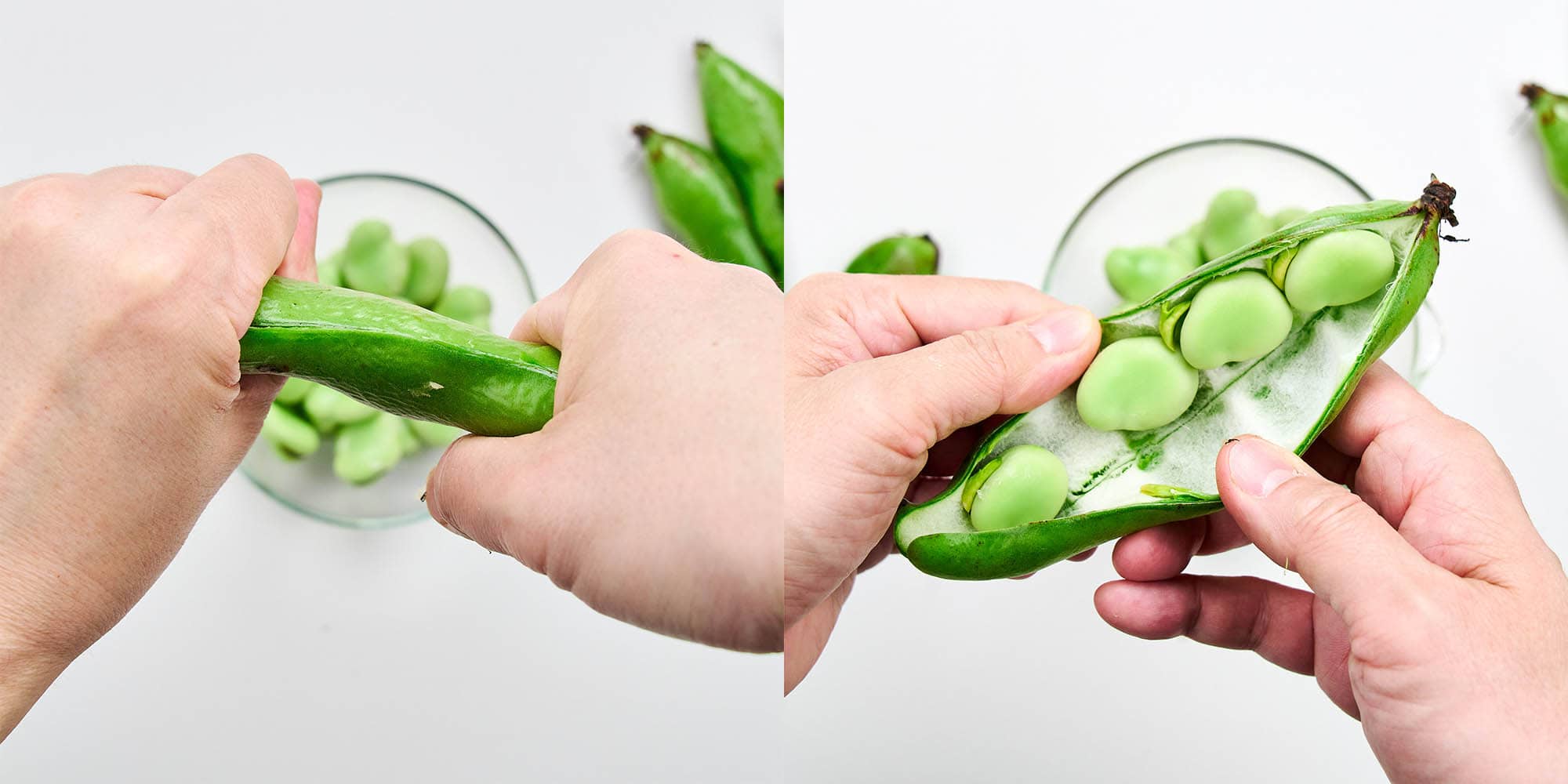 Removing the fava beans from their pods.