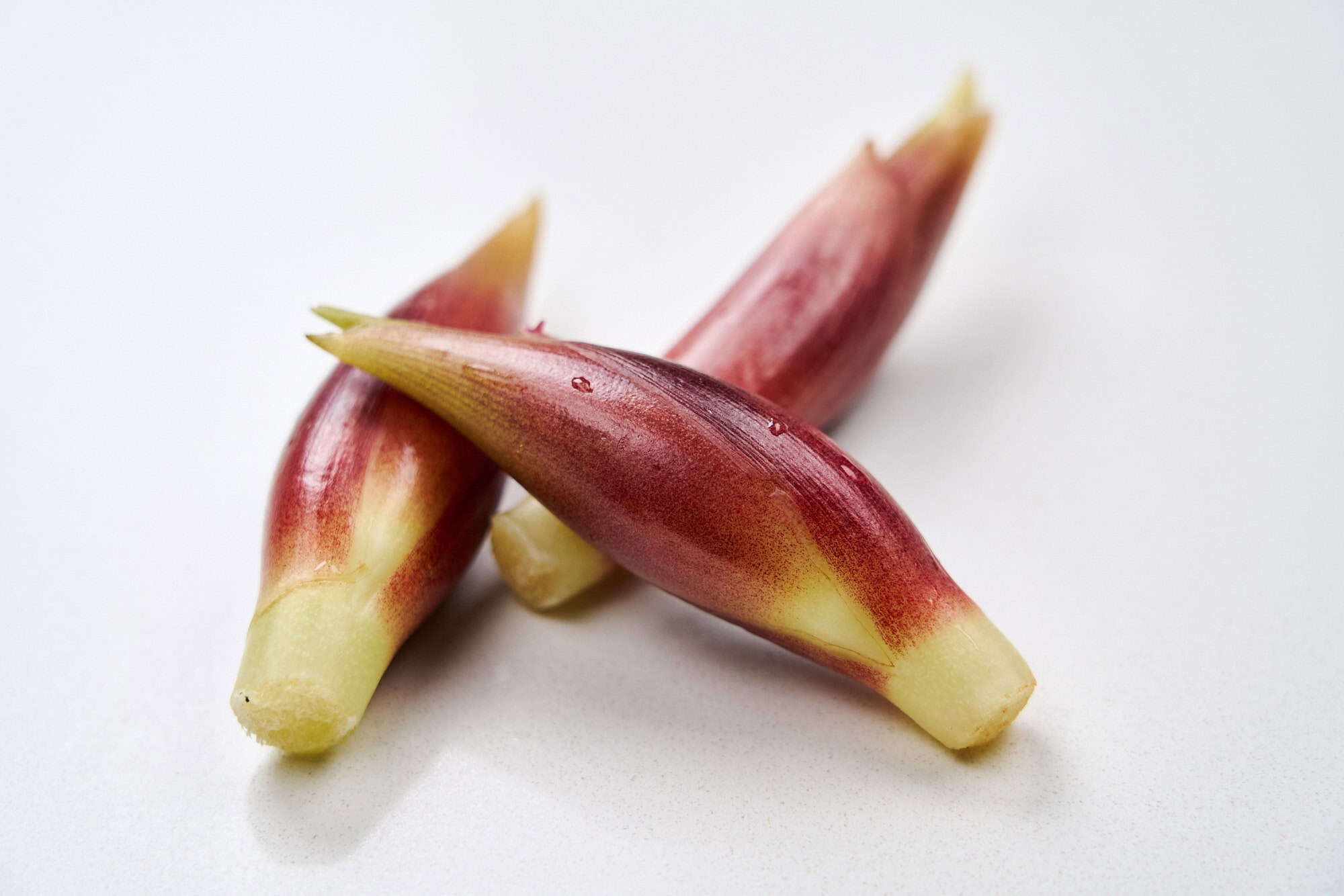 Myoga, a bud from ginger.