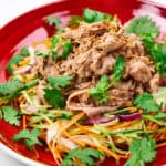 Close shot of Pork Shabu Shabu Salad.