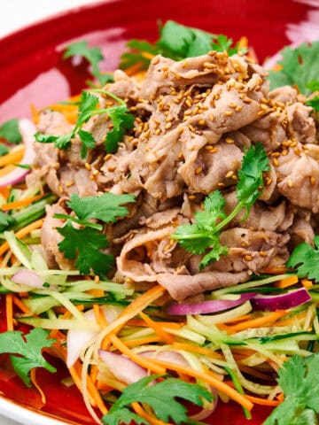 Close shot of Pork Shabu Shabu Salad.