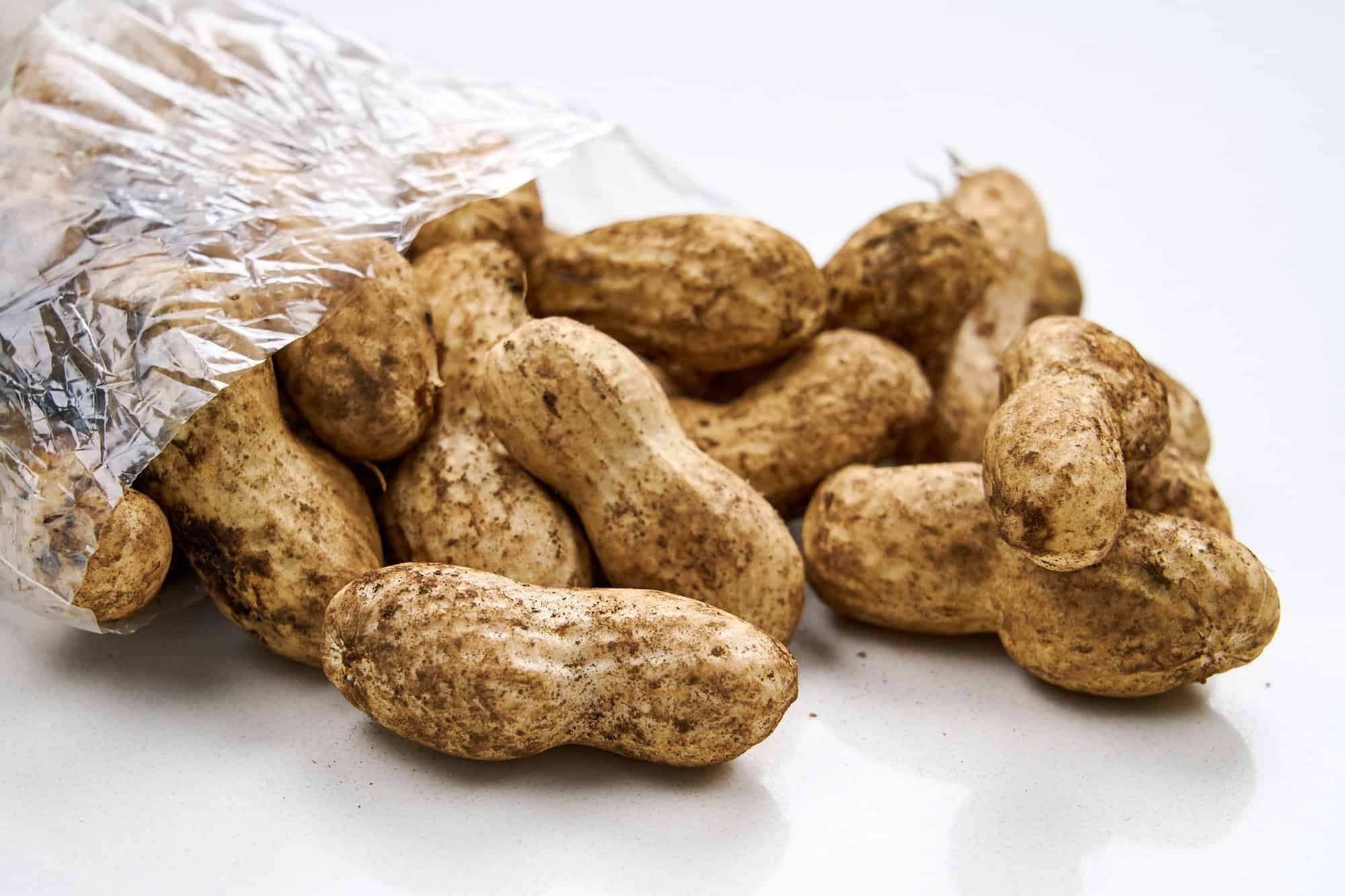 Freshly harvested peanuts with soil clinging to the shells.